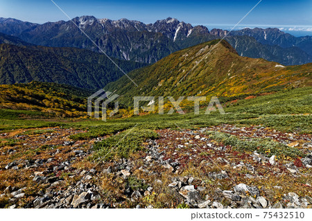 Autumn leaves and sword of Kashimayarigadake ridgeline, Tateyama mountain range 75432510