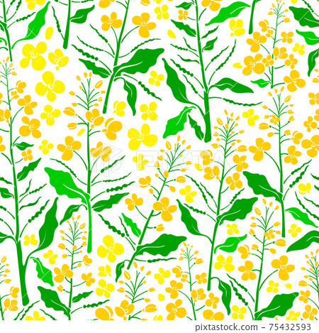 Vector floral seamless pattern. Summer field Vector floral seamless pattern. Summer field 75432593