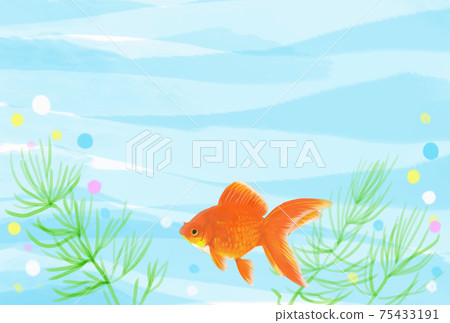 Illustration of a summer image of a goldfish swimming in the water Illustration of a summer image of a goldfish swimming in the water 75433191