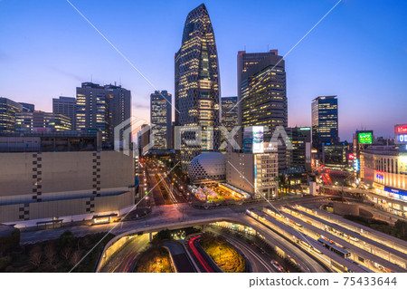 《Tokyo》 Shinjuku subcenter/city night view 75433644