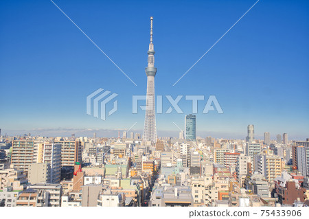 [東京] 1月-東京天空樹和城市景觀 75433906