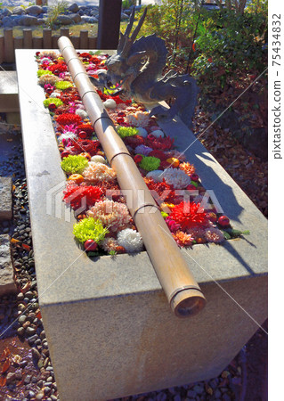 龍花chozuya 龍花chozuya 75434832