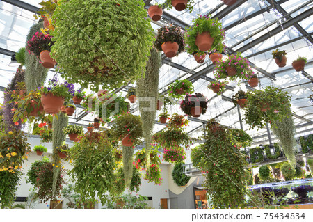 綠花淋浴 綠花淋浴 75434834