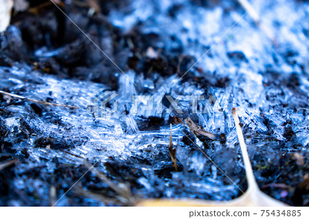 霜柱 霜柱 75434885