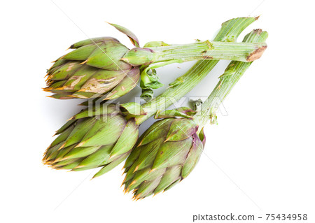 Artichokes isolated on white background. High quality photo 75434958