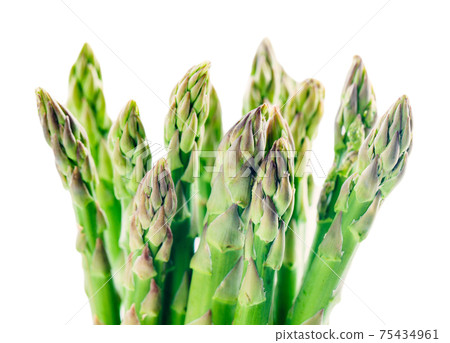 Bunch of asparagus isolated on white. High quality photo Bunch of asparagus isolated on white. High quality photo 75434961