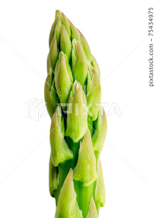Raw asparagus isolated on white. High quality photo 75434975