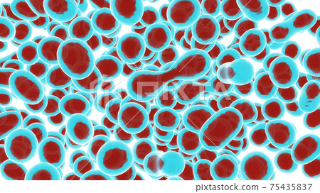 Cells Isolated On White Background. Medical Scientific Research 75435837