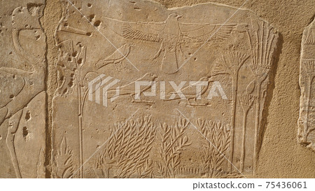 The Botanical Chamber, the Temple of Karnak hieroglyphic of exotic plants and birds on wall The Botanical Chamber, the Temple of Karnak hieroglyphic of exotic plants and birds on wall 75436061