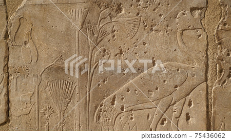 The Botanical Chamber, the Temple of Karnak hieroglyphic of exotic plants and birds on wall The Botanical Chamber, the Temple of Karnak hieroglyphic of exotic plants and birds on wall 75436062