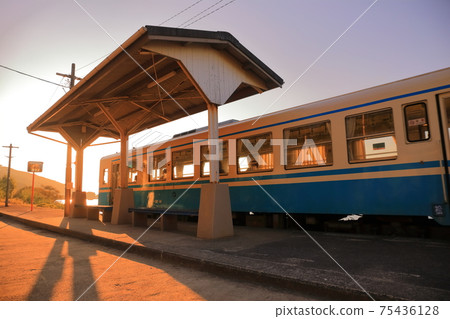[愛媛縣]下田站和沐浴在夕陽下的火車 75436128