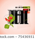 The letter H and hawthorn on a bright abstract background 75436931