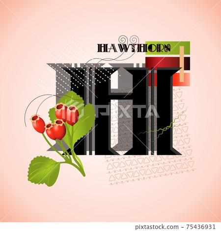 The letter H and hawthorn on a bright abstract background The letter H and hawthorn on a bright abstract background 75436931