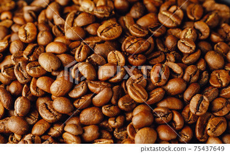 fresh roasted coffee beans, close-up view fresh roasted coffee beans, close-up view 75437649