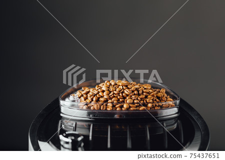 coffee beans in coffeemaker bean container, copy-space background coffee beans in coffeemaker bean container, copy-space background 75437651