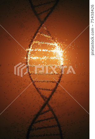 DNA Molecule Helix Genetic Code DNA Molecule Helix Genetic Code 75438426