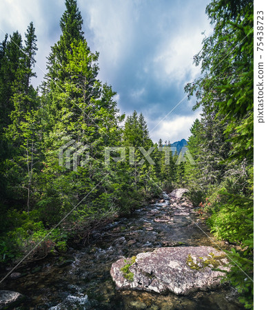 Beautiful calm summer nature landscape in Slovakia, Slovak small river with creeks, waterfalls Beautiful calm summer nature landscape in Slovakia, Slovak small river with creeks, waterfalls 75438723