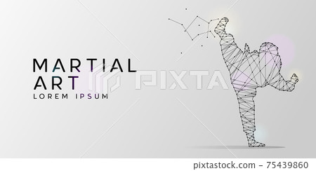 Particles geometric line art of martial art pose design beckground 75439860