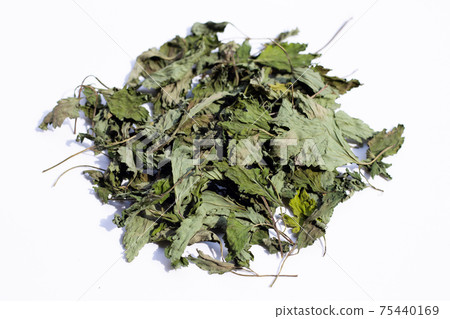 Dried mugwort leaves on white. 75440169