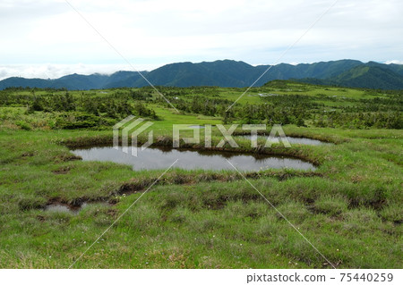 Joshinetsu:初葉的內葉山積雪充滿了新鮮的綠葉,這是初夏的景色 Joshinetsu:初葉的內葉山積雪充滿了新鮮的綠葉,這是初夏的景色 75440259