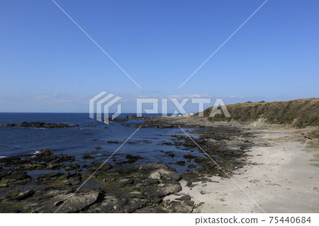 Coastline of Jogashima 75440684