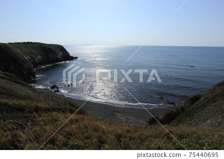 Coastline of Jogashima 75440695