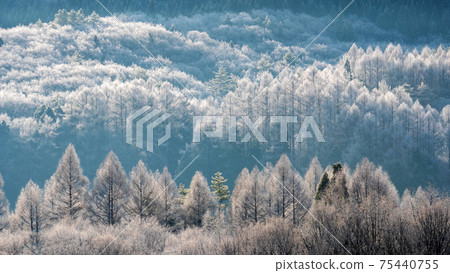 Frost on the satoyama due to radiative cooling 75440755