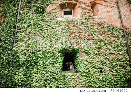 Amazing happy gentle stylish beautiful romantic caucasian couple on the background ancient baroque castle 75441021