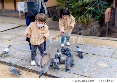 兄弟，兄弟姐妹，餵鴿子的孩子 75441648