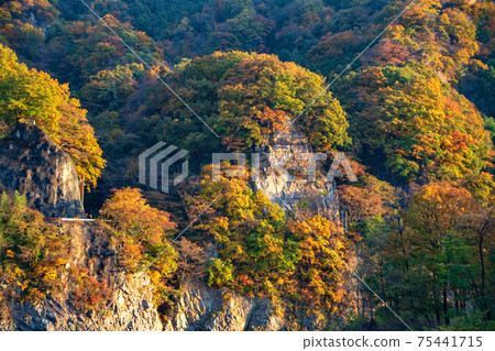 Evening view under the Akagimachi shelf Autumn view Evening view under the Akagimachi shelf Autumn view 75441715