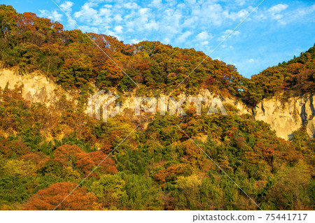Evening view under the Akagimachi shelf Autumn view 75441717