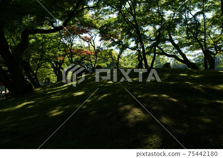 四季走春後樂園 75442180