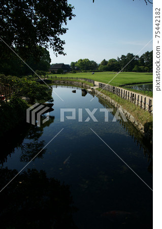 A walk in the four seasons Spring Korakuen 75442182