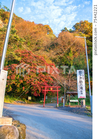 Akagi-cho, Tanashitafudo Falls entrance, autumn scenery Akagi-cho, Tanashitafudo Falls entrance, autumn scenery 75442221