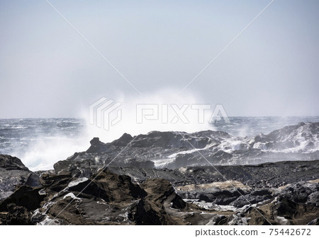 崎崎崎sea的大海和跳起的白浪 75442672