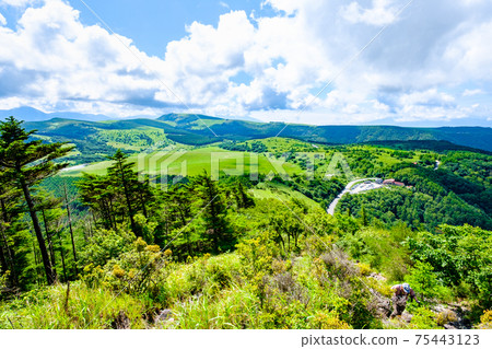 Washigamine mountain climbing (summer): View of Yashimagahara Wetland from the mountain trail Washigamine mountain climbing (summer): View of Yashimagahara Wetland from the mountain trail 75443123