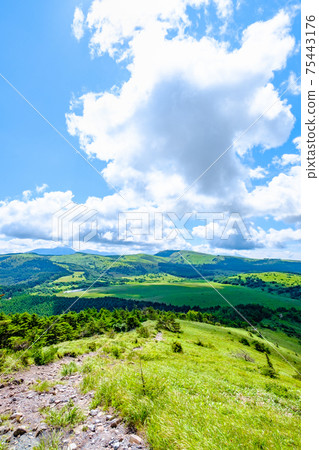 Washigamine mountain climbing (summer): View of Yashimagahara Wetland from the mountain trail Washigamine mountain climbing (summer): View of Yashimagahara Wetland from the mountain trail 75443176