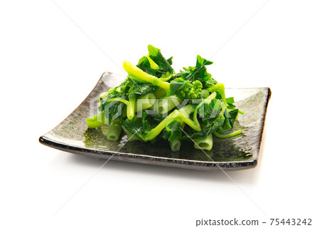 Soaked flower wasabi 75443242