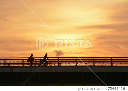 Bicycle commuting. Rush the road against the golden sky (golden hour silhouette image) 75443416