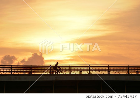 Bicycle commuting. Rush the road against the golden sky (golden hour silhouette image) 75443417