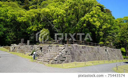 鹿兒島縣千島園櫻島 75443574
