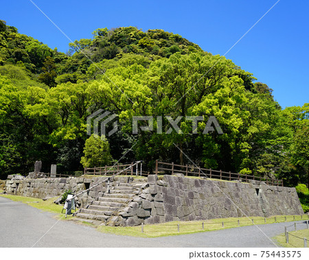鹿兒島縣千島園櫻島 75443575