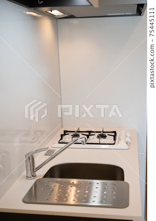 Mansion type kitchen 75445111