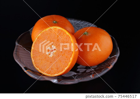 濱崎橘子的橫截面 75446517