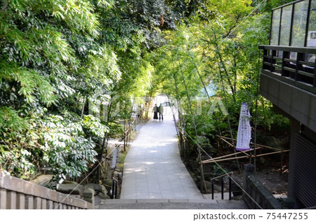 Atami Komiya Shrine 75447255