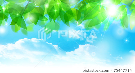 新的綠色葉子春天背景 75447714