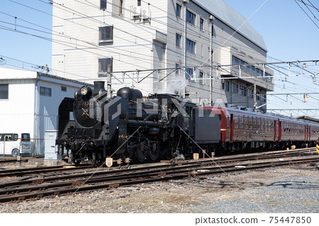 Pareo Express of Chichibu Railway 75447850