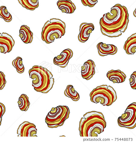 Seamless pattern with turkey tail mushroom Seamless pattern with turkey tail mushroom 75448073