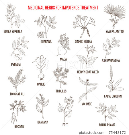 Best herbs for impotence treatment 75448172