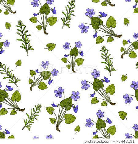 Seamless pattern with blue violet, medicinal plant 75448191